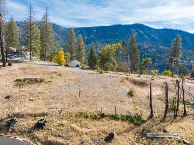 55142 Huntington Lake Rd, Big Creek, CA 93605 - photo 13