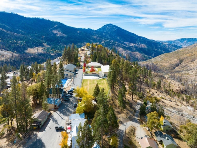 55142 Huntington Lake Rd, Big Creek, CA 93605 - photo 7