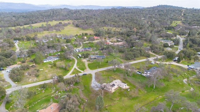 birds eye view of property featuring a mountain view and a view of trees