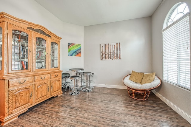 living area with baseboards and dark wood-type flooring