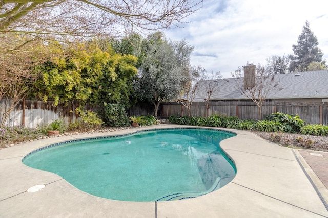 view of pool with a patio, a fenced backyard, and a fenced in pool