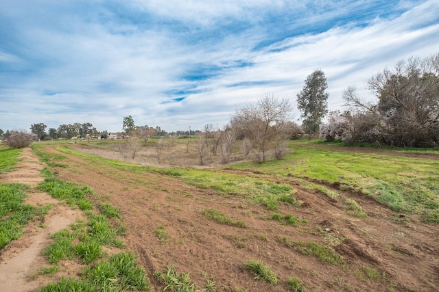 view of yard with a rural view