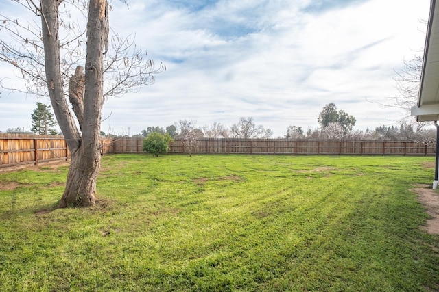 view of yard featuring a fenced backyard