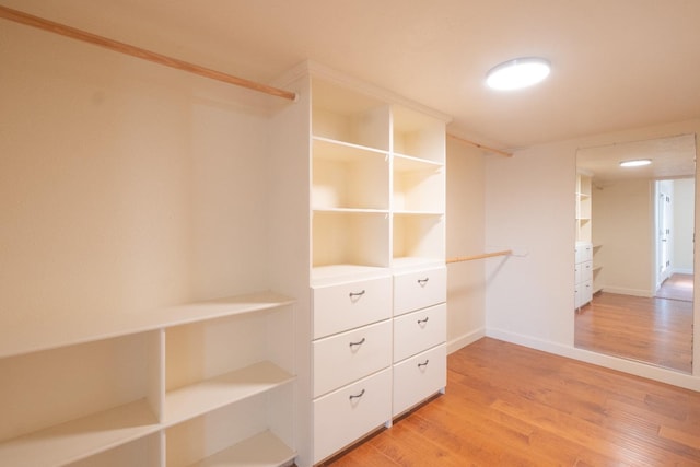 spacious closet featuring light wood-style flooring