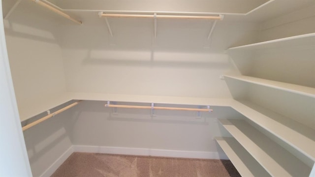 29030 Crystal Spings Ct, Coarsegold, CA 93614 - walk in closet featuring carpet and attic access