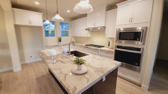 kitchen with under cabinet range hood, light wood-style flooring, stainless steel appliances, and a sink