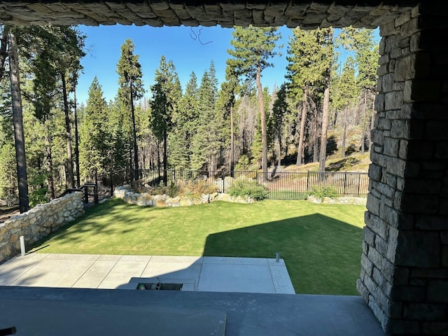 view of yard with a patio and a fenced backyard