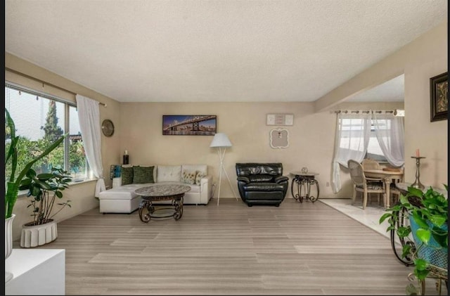 living area with a textured ceiling and wood finished floors