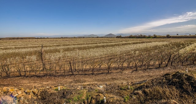 view of nature with a rural view and a mountain view