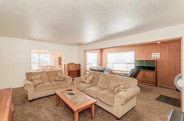 carpeted living room featuring a textured ceiling