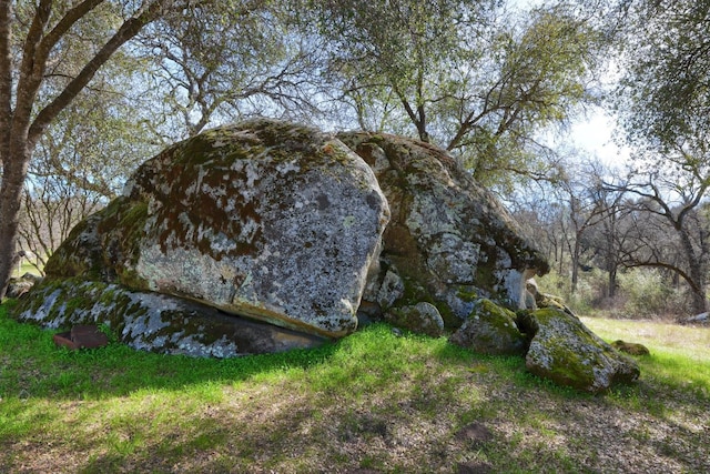 view of nature