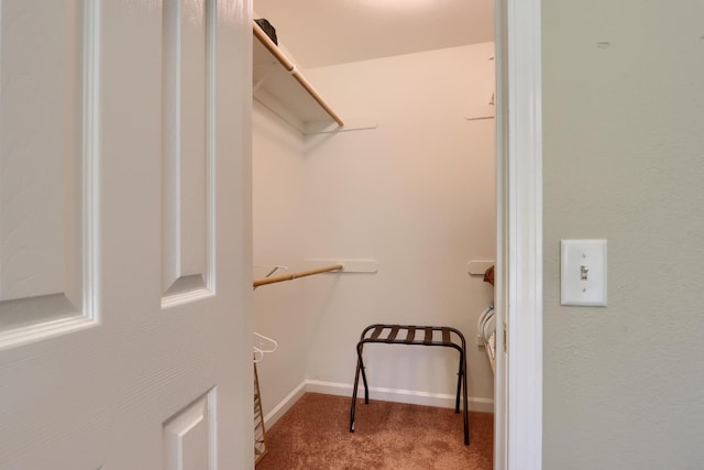 spacious closet with carpet flooring