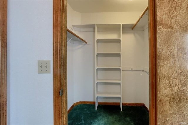 spacious closet with carpet flooring