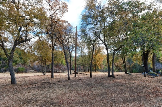 view of landscape