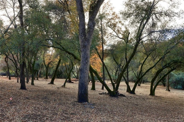 view of landscape