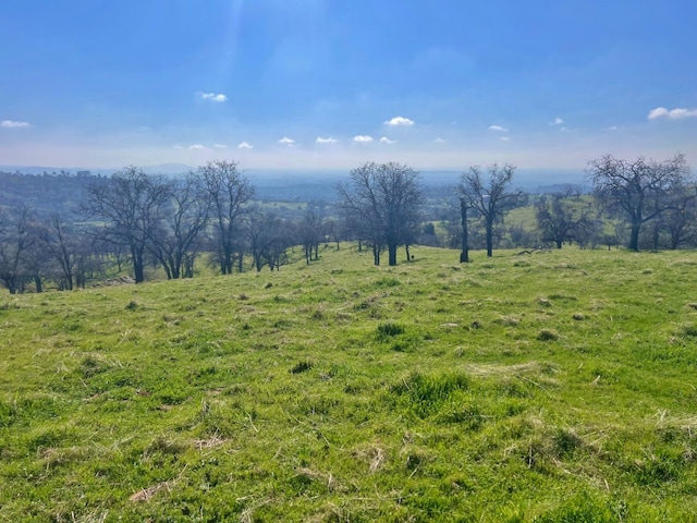 view of landscape with a rural view