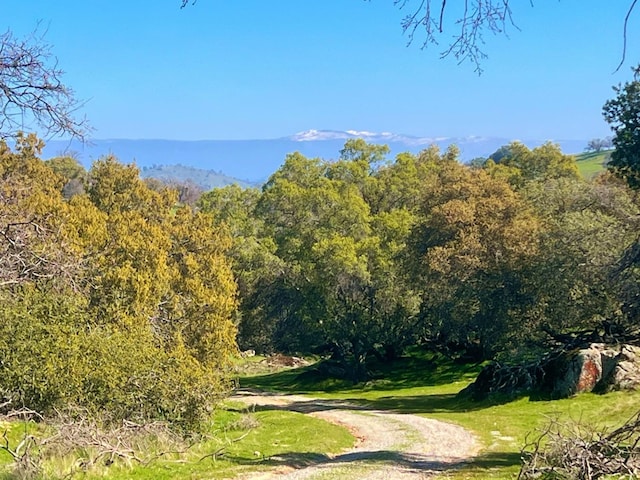 mountain view featuring a forest view