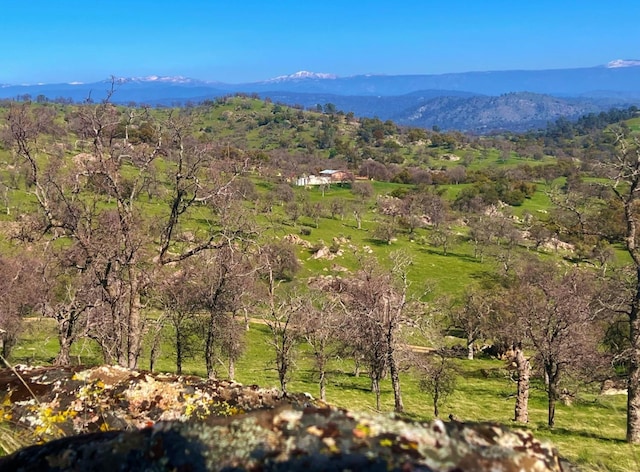 view of mountain feature with a view of trees