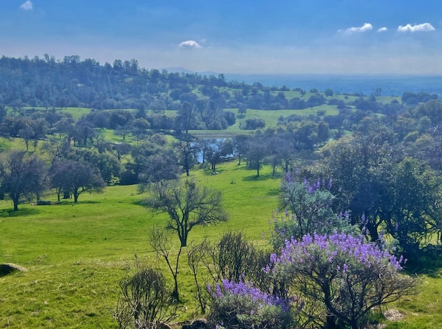 bird's eye view featuring a rural view