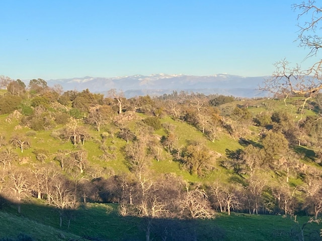 view of mountain feature