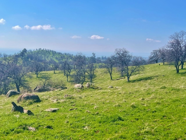 view of local wilderness featuring a rural view