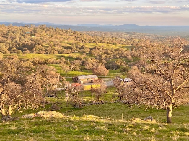 bird's eye view with a mountain view and a view of trees