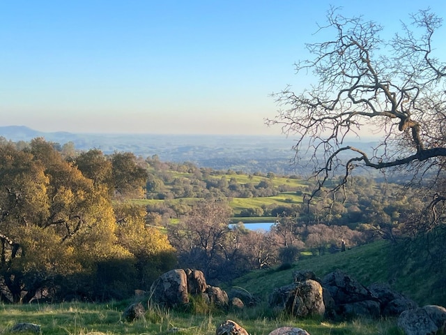 drone / aerial view with a water view and a wooded view