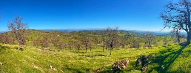 mountain view featuring a forest view