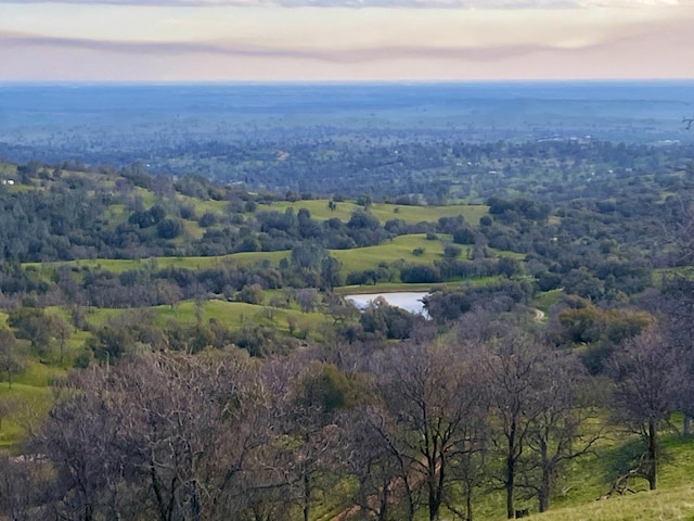 birds eye view of property with a water view and a view of trees