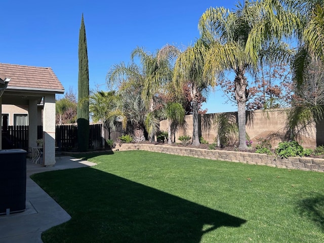 view of yard with a fenced backyard and a patio