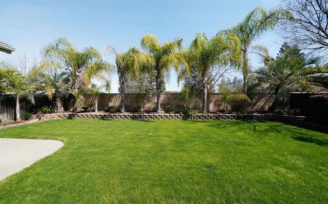 view of yard with a fenced backyard