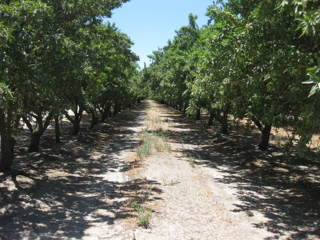 9999 N Elm St, Pixley, CA 93256