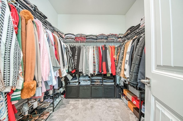 walk in closet with carpet flooring