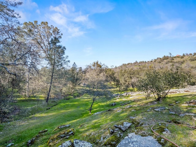 view of yard featuring a view of trees