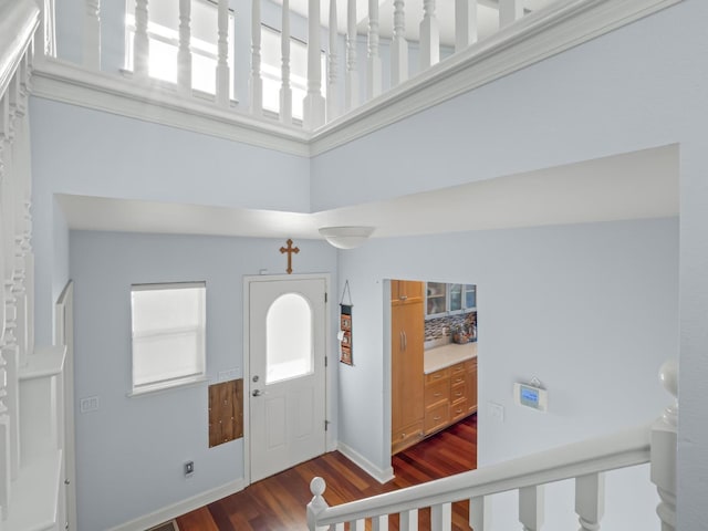 entryway featuring a healthy amount of sunlight, a high ceiling, baseboards, and dark wood-type flooring