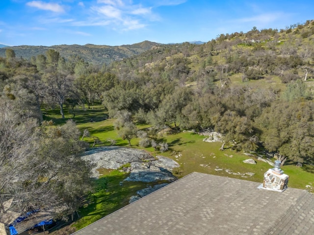 aerial view featuring a wooded view and a mountain view