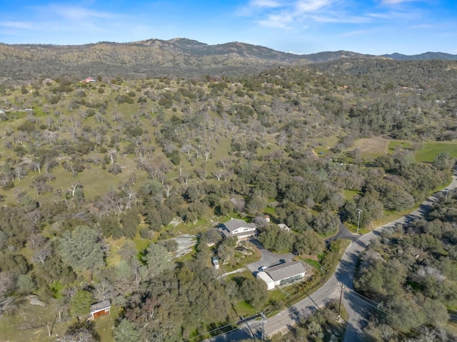 birds eye view of property featuring a mountain view and a forest view