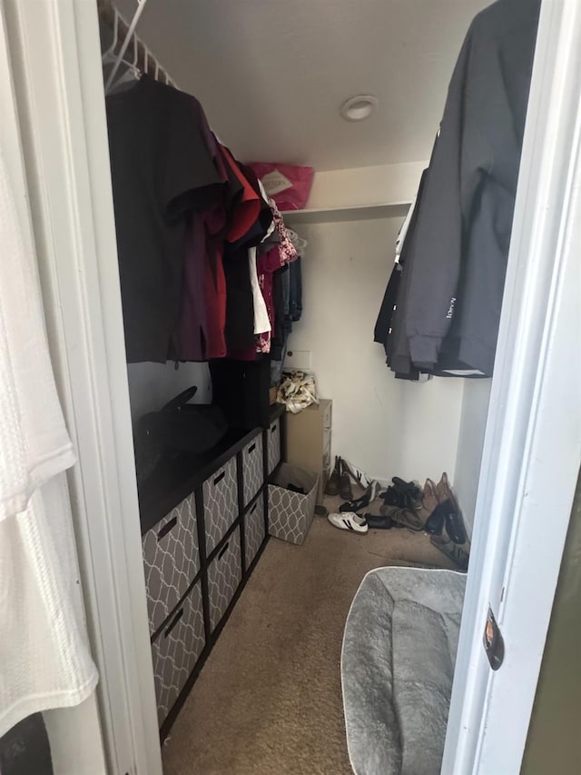 walk in closet with carpet