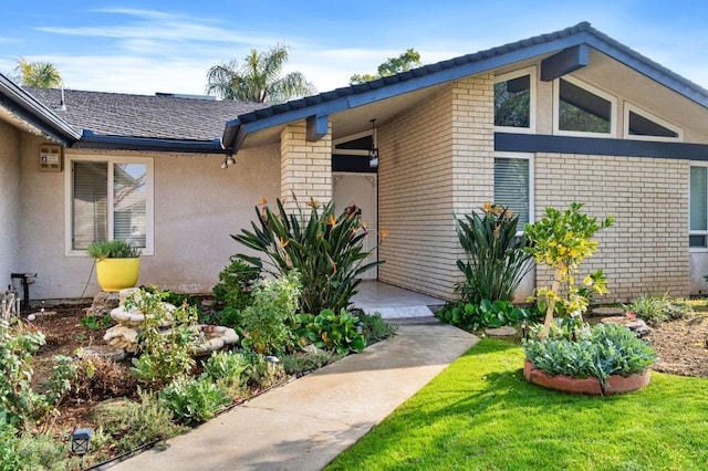 doorway to property featuring brick siding and stucco siding