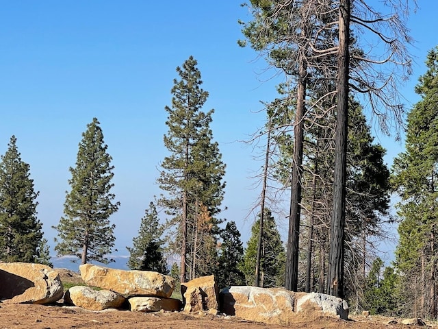 40231 Mariposa Lilly, Shaver Lake CA, 93664 land for sale