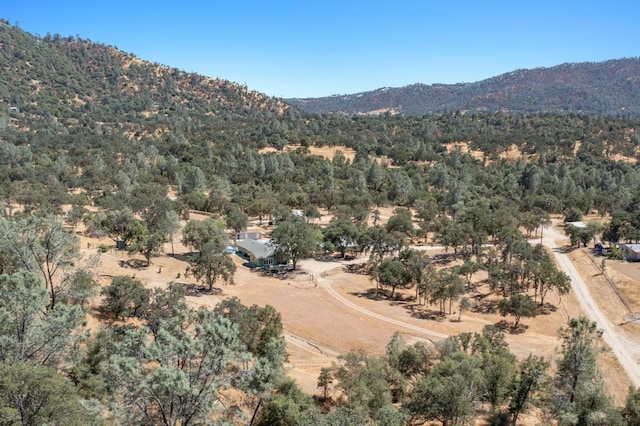 drone / aerial view featuring a mountain view and a forest view