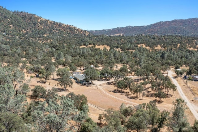 29407 Hidden Hollow Ln, Tollhouse, CA 93667 - photo 39