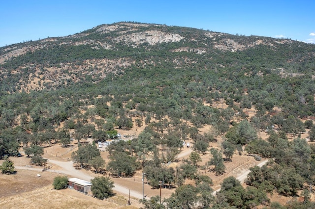 29407 Hidden Hollow Ln, Tollhouse, CA 93667 - photo 36