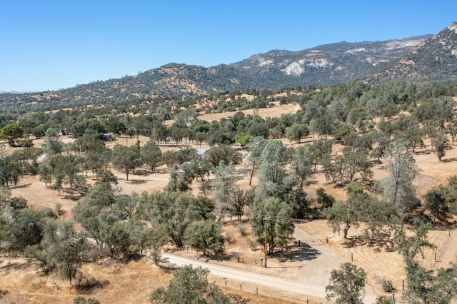 29407 Hidden Hollow Ln, Tollhouse, CA 93667 - photo 37