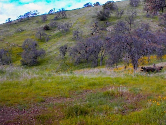 2202 Raven Ln, Yokuts Valley CA, 93675 land for sale