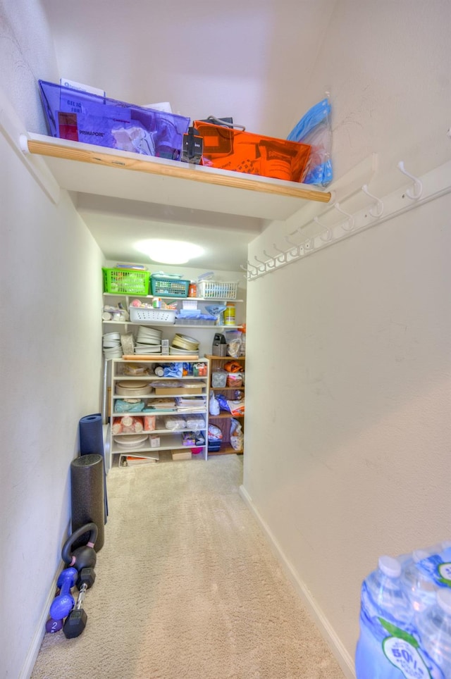 3033 Hanson Ave, Clovis, CA 93611 - view of storage area