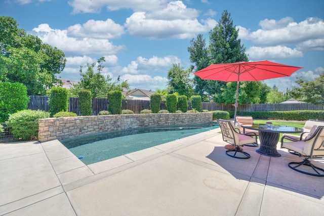 view of pool with a fenced backyard, outdoor dining area, and a patio