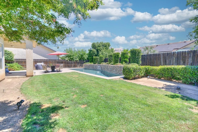 view of yard featuring a fenced backyard, a fenced in pool, and a patio