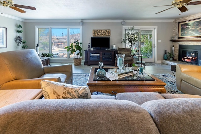 living area featuring ornamental molding, wood finished floors, and a wealth of natural light