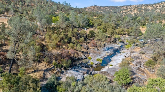 bird's eye view featuring a view of trees